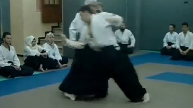AIKIDO : Maitre SILEM HAMID / BEST OF 2013-2014 смотреть онлайн