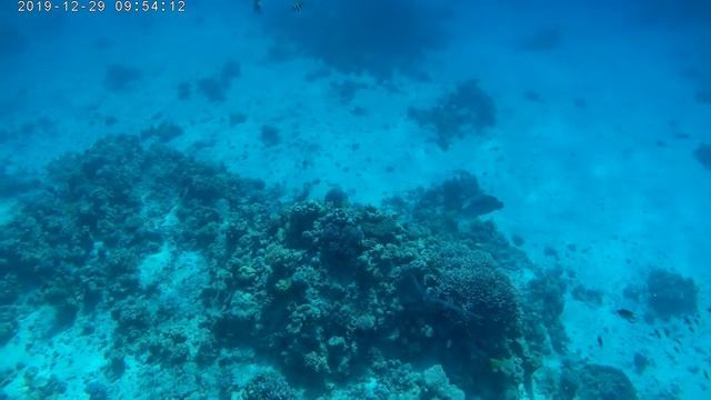Sharm 2019.2 смотреть онлайн