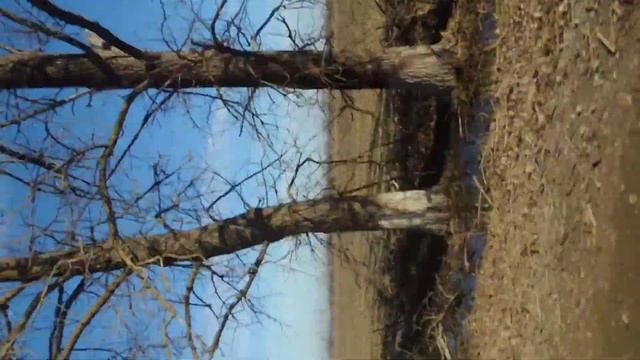 Поймай Змея Горыныча! смотреть онлайн
