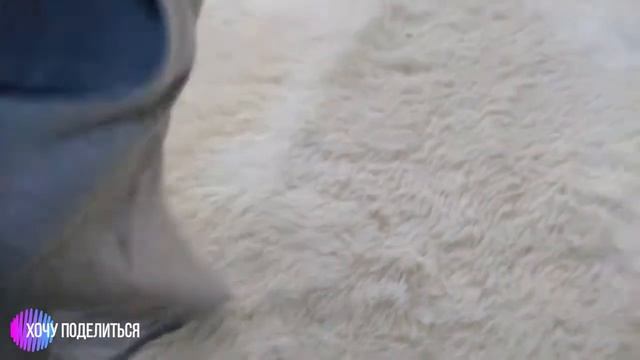 Штаны мужские от Gloria Jeans смотреть онлайн