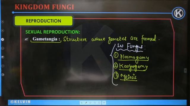 Class - 11 Kingdom Fungi | Lec -4 | Biology | Kelvin 11&12 смотреть онлайн