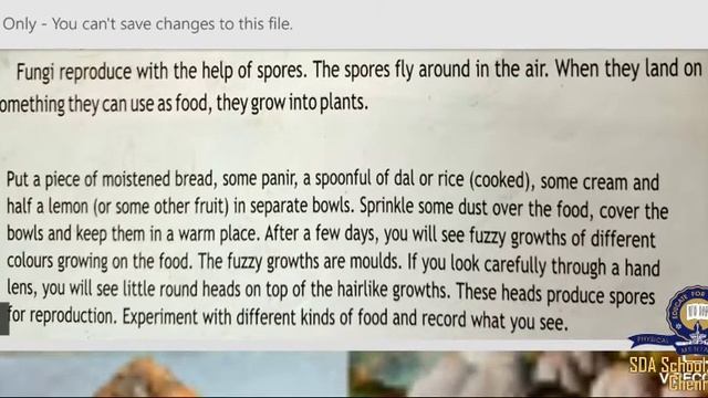 Class 4/ICSE/Science/Lesson 6 - Part 1/Session 8 смотреть онлайн