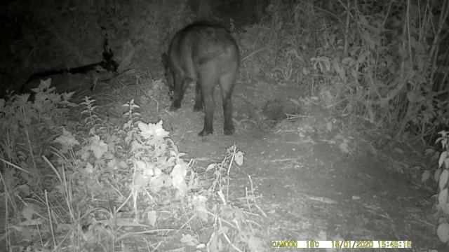 Анатолій Дроздов смотреть онлайн