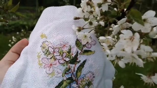 Кривые Крестики/МАЙЯБРЬ, что ты творишь?! смотреть онлайн