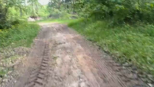 Май в лесу, утреняя пробежка. смотреть онлайн
