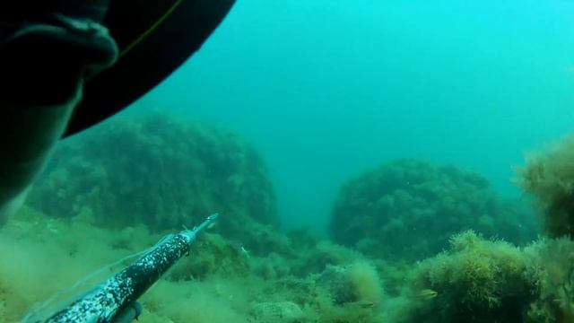 Июль 2014 подводная охота на кефаль смотреть онлайн
