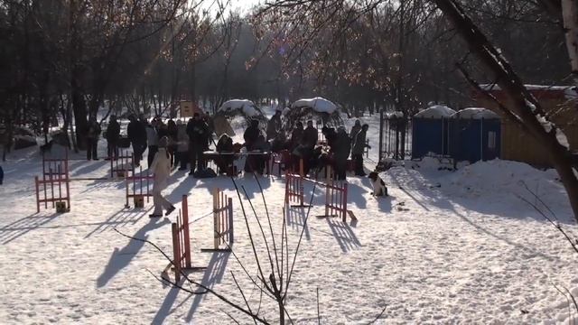 Даша и Твист_ГПА_06.02.10.mov смотреть онлайн