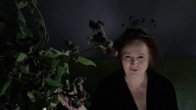 Свобода смотреть онлайн