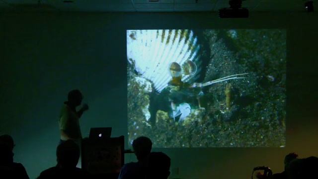 Marine Biodiversity - Mark Showalter (SETI Talks) смотреть онлайн