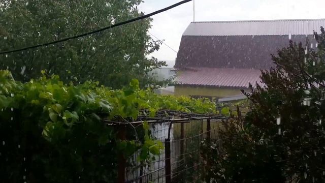 2015 07 01 10 24 49 смотреть онлайн