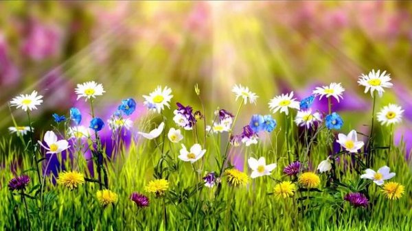 ҚАЗАҚША ӘНДЕР