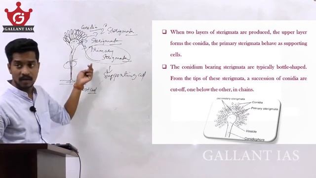 Vegetative Structure & Asexual Reproduction in Aspergillus | Botany Optional | Gallant IAS смотреть онлайн