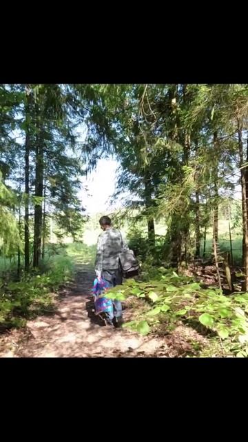 ❗️ВСТРЕТИЛ АРМИЮ ГРИБНИКОВ и ВСЕ с ГРИБАМИ! #армия #грибы #природа #лес #грибники