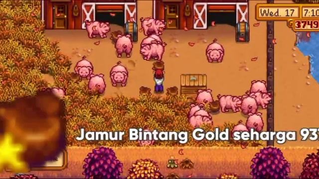 Jadi Sultan Dengan Memelihara Ternak Babi Di Stardew Valley
