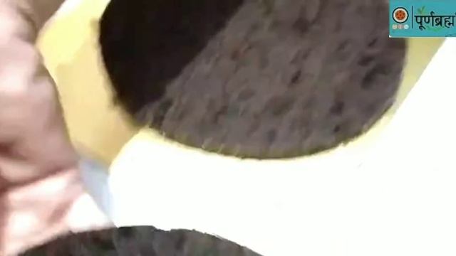 Chocolate truffle cake смотреть онлайн