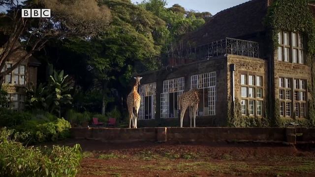 Focus 1 2E Unit 7 Lesson 1 Video 28 BBC смотреть онлайн