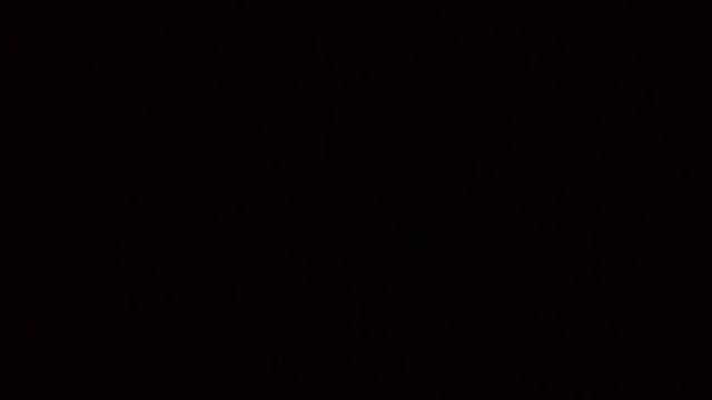 5 ноября 2023 г.