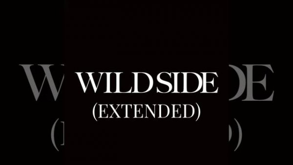 Wild Side (Anime Extended Version)