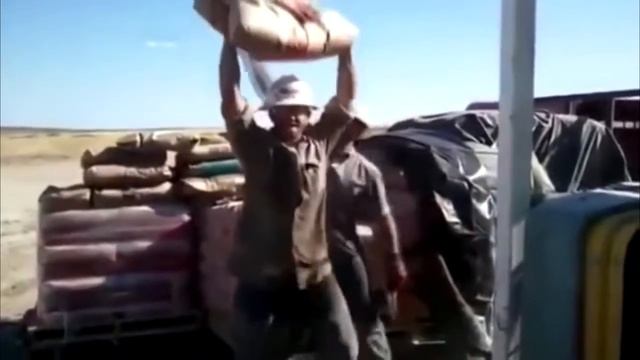 Подборочка приколов август 2016 (A Selection Of Jokes In August 2016)