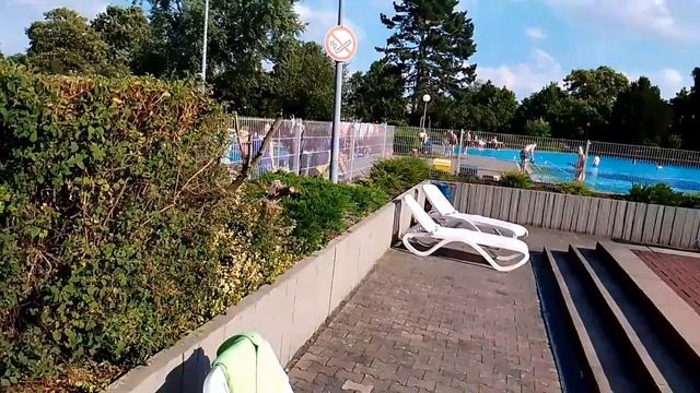 В бассейне. Дикие гуси плавают со всеми в бассейне) смотреть онлайн