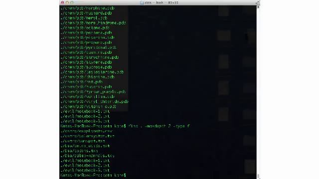 Unix: find command смотреть онлайн