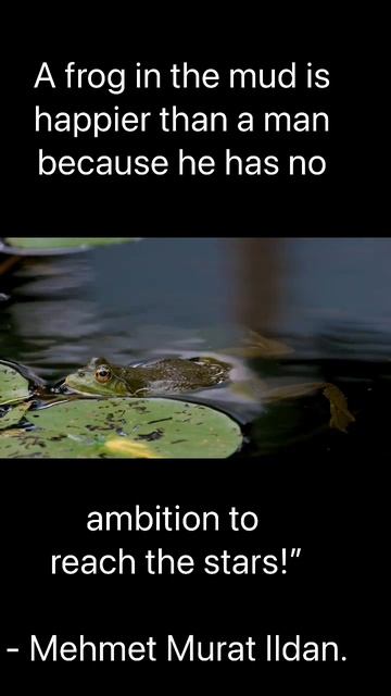 The Frog in the mud is happier than man#frogs #inspirationalquotes #motivationalquotes #shorts смотреть онлайн