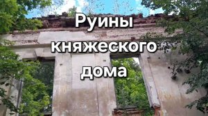 Заброшенный главный дом усадьбы Аполье. Имение Друцких-Соколинских.