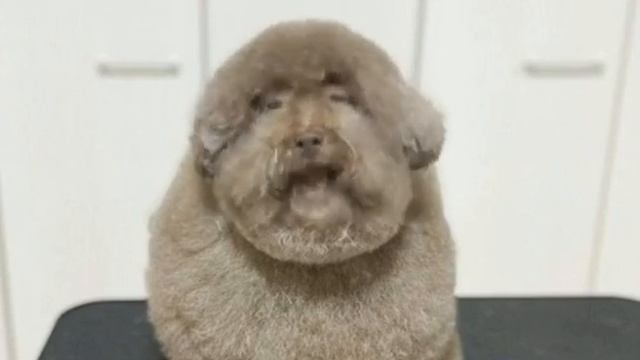 Вруби это перед каточкой в шедевростандоффчике 😈😈😈😈😈😈😈😈😈😈😈😈🥵🥵🥵🥵🥵🥵🥵🥵🥵🥵🥵 смотреть онлайн