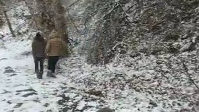 Rita and manuel adventure! смотреть онлайн