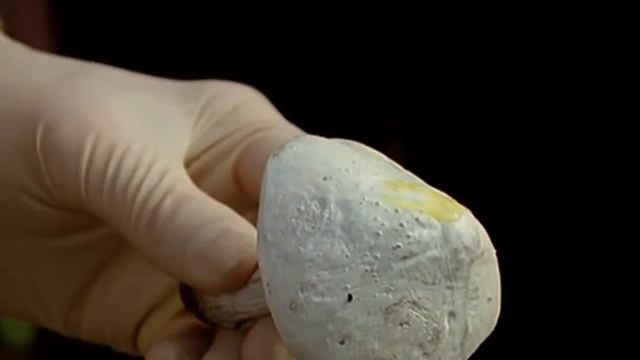 Убийство в Мидсомере 4 сезон 2 серия (Ангел разрушитель)