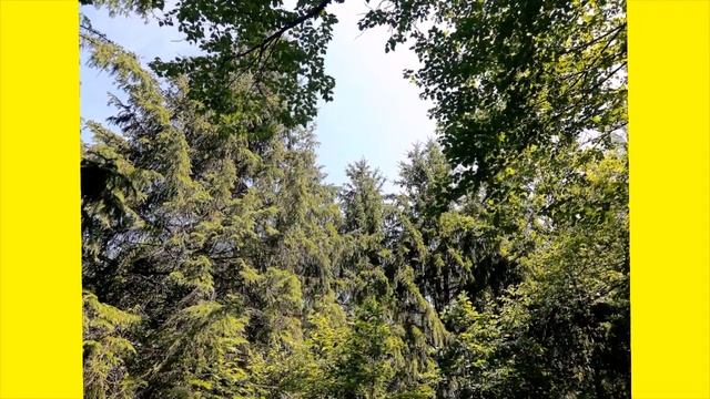 Время мухоморов смотреть онлайн