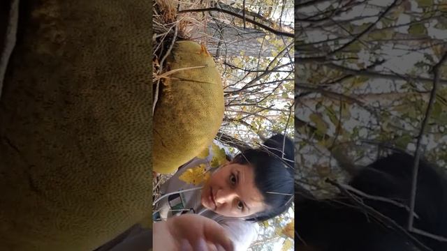 20.10.18 Знаменовка смотреть онлайн