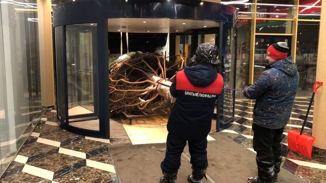 12 декабря 2017 г. смотреть онлайн