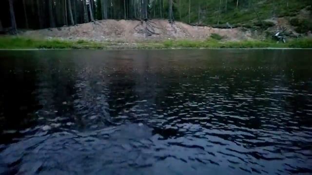 Taimen kiinni смотреть онлайн