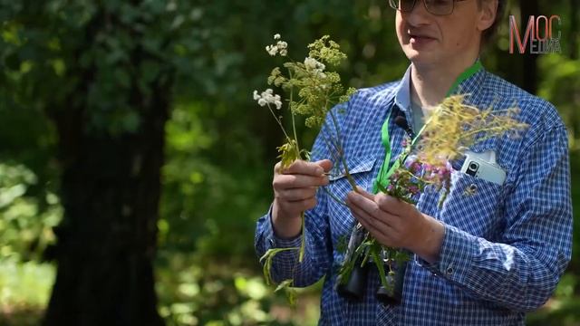 Экскурсия с Алексеем Захаринским по экотропе Валуевского лесопарка смотреть онлайн