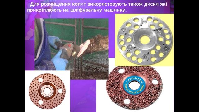 VetLessons ПРОФІЛАКТИКА ХВОРОБ КОПИТ І КОПИТЕЦЬ смотреть онлайн