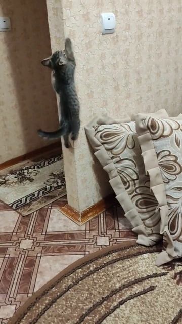 15 октября 2022 г. смотреть онлайн