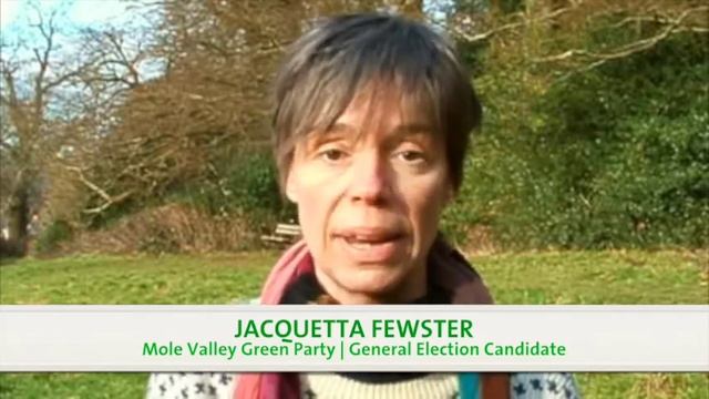 Jacquetta Fewster, Mole Valley Green Party 2015 смотреть онлайн