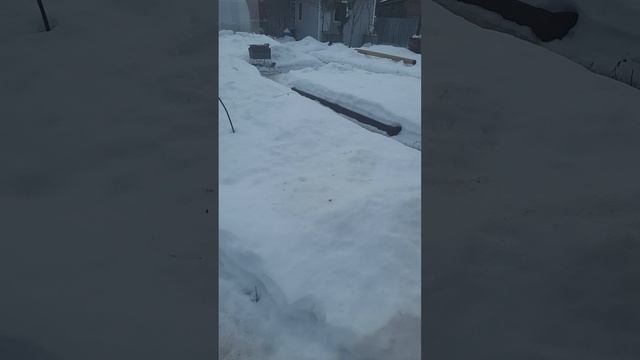 Видеопривет с дачи😊 А у вас как? смотреть онлайн