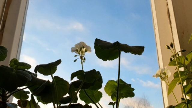 17.12.2023 ПРОСРОЧЕННЫЙ,но ведь ПОМОГАЕТ!!!💊КУПИЛ куртку на СЛОНА!🤦♀️Маникюр-ЛОПАТЫ!💅 🌈 в глазу!😵