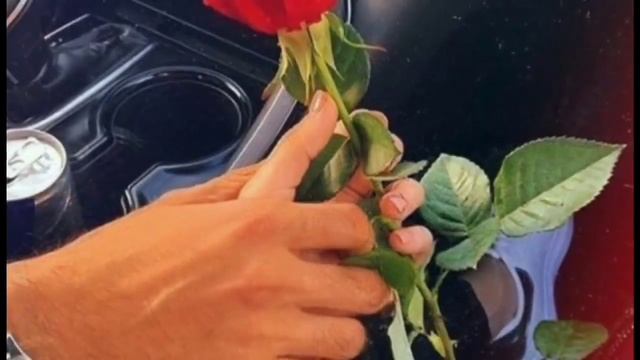 чёткая кумыкская песня 😍🌹 смотреть онлайн