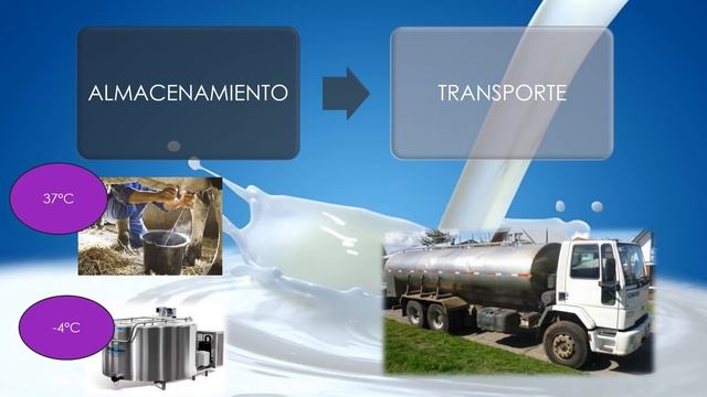 Producción De Pan Y Derivados Lácteos