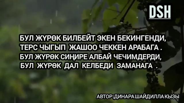 Динара Шайдилла кызы аудиокитеп поэзия проза ыр