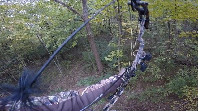 Blue Line Whitetails Shots Fired, Shots Fired! Bucks, Doe, Coyote Kill Shots! смотреть онлайн