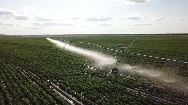 21 июля 2021 г. смотреть онлайн