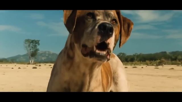 Troya Primera Escena en Español Latino HQ смотреть онлайн