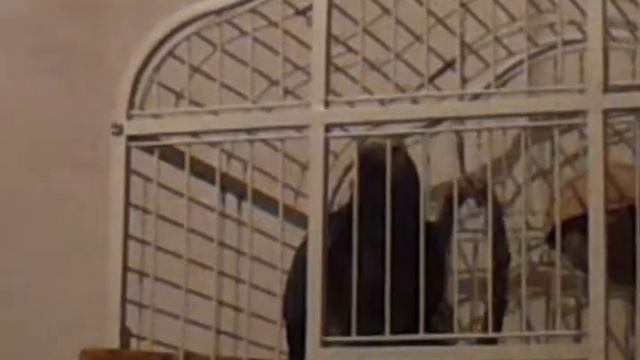 14 ЖАКО ЖОРИК СОЧИНСКИЙ. ПОЕТ, ТАНЦУЕТ И БОЛТАЕТ 2 смотреть онлайн