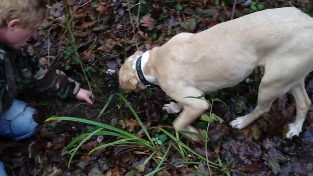 Truffle Hunting in Italy! смотреть онлайн