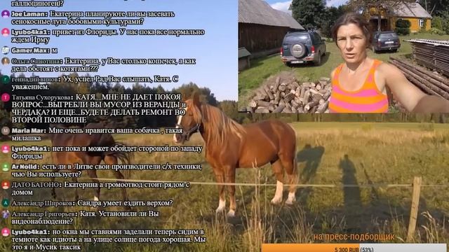 Стрим. Вопросы о Литве смотреть онлайн