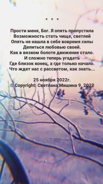 Прости меня, Бог. Стихи. Светлана Мишина